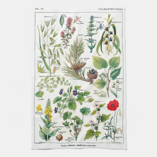 Linge De Cuisine Illustrations botaniques (Vertical)