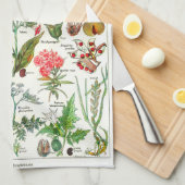 Linge De Cuisine Illustrations botaniques - usines de Larousse (Quart Plié)