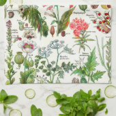 Linge De Cuisine Illustrations botaniques vintages (Plié)