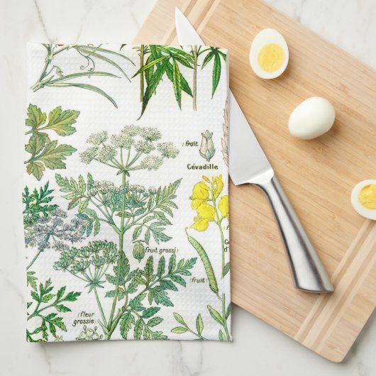 Linge De Cuisine Illustrations botaniques vintages (Quart Plié)