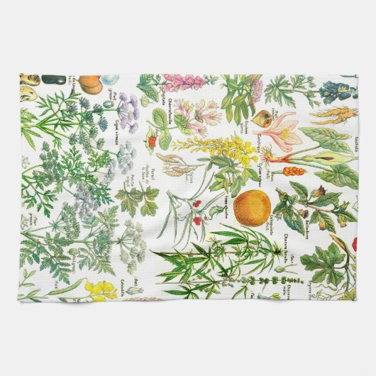 Linge De Cuisine Illustrations botaniques vintages (Horizontal)