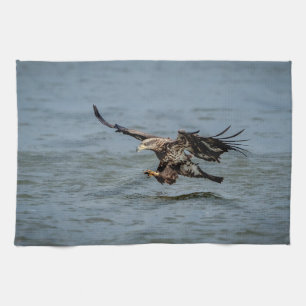 Linge De Cuisine Immature Bald Eagle plongée pour un poisson