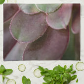 Linge De Cuisine Impression Cactus | Une Fleur de cactus du désert (Plié)