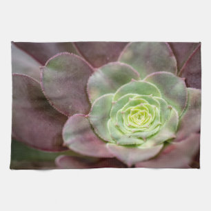 Linge De Cuisine Impression Cactus Une Fleur de cactus du désert