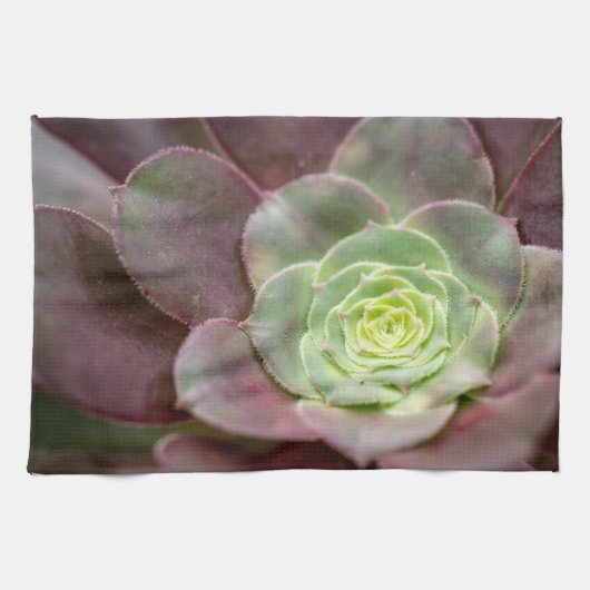 Linge De Cuisine Impression Cactus | Une Fleur de cactus du désert (Horizontal)