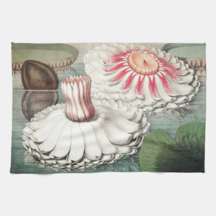 Linge De Cuisine Impression d'art de nénuphar Victoria Regia vintag