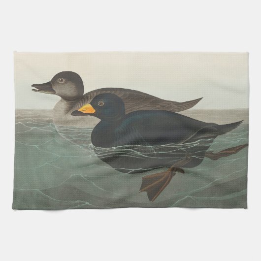 Linge De Cuisine Impression de Macreuse noire d'Audubon : Canard cô (Horizontal)
