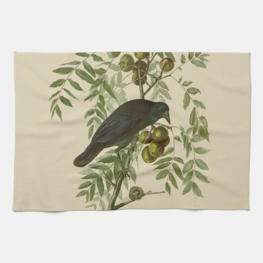 Linge De Cuisine Impression d'oiseau Grackle violet d'Audubon Botan (Horizontal)