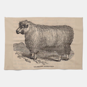 Linge De Cuisine Imprimé au 19e siècle année Cotswold brebis