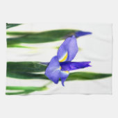 Linge De Cuisine Iris (Horizontal)