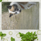 Linge De Cuisine Islandhund (Plié)