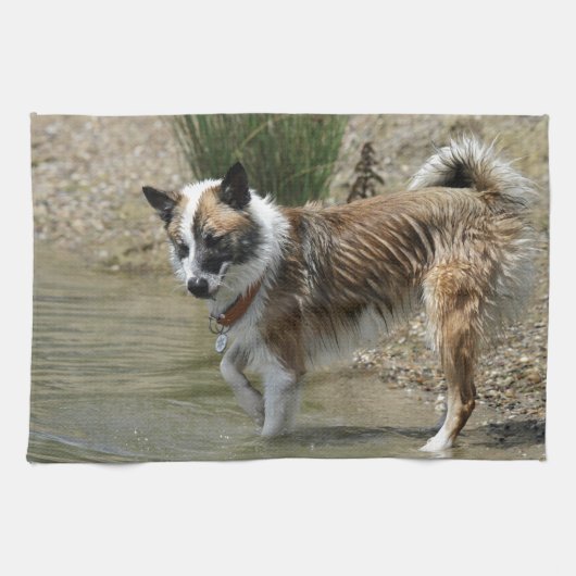 Linge De Cuisine Islandhund (Horizontal)
