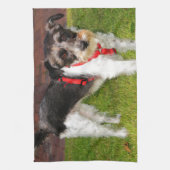 Linge De Cuisine jack russel terrier (Vertical)
