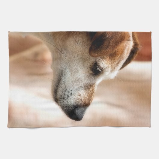 LINGE DE CUISINE JACK RUSSELL TERRIER CHIEN (Horizontal)