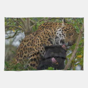 Linge De Cuisine Jaguars In Love