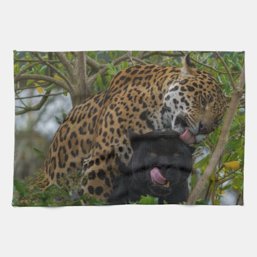 Linge De Cuisine Jaguars In Love (Horizontal)