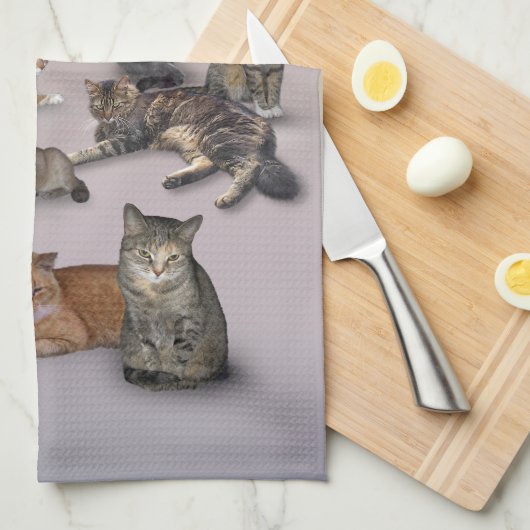 Linge De Cuisine J'aime les chats (Quart Plié)