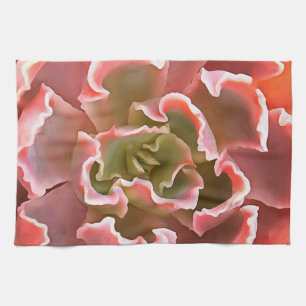Linge De Cuisine Jardin superbe Les tons roses Succulents Art réali