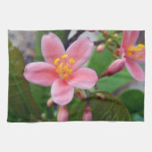 Linge De Cuisine Jatropha Fleur et bourgeons de fleurs (Horizontal)