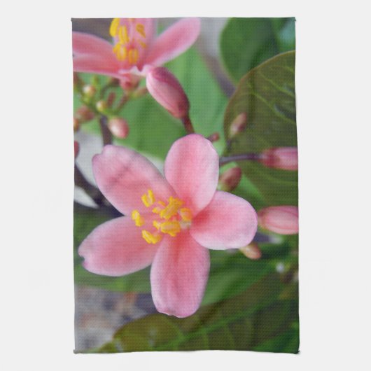 Linge De Cuisine Jatropha Fleur et bourgeons de fleurs (Vertical)