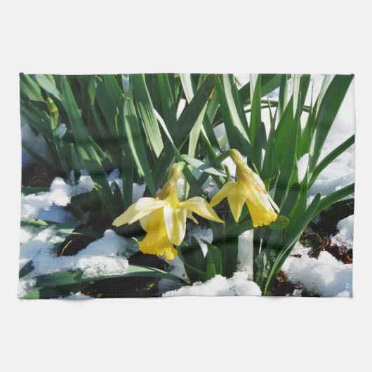 Linge De Cuisine Jaune Daffodils fleurs dans la neige (Horizontal)