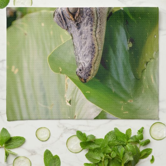 Linge De Cuisine Jeune Alligator (Plié)