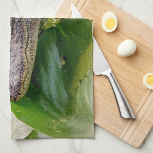 Linge De Cuisine Jeune Alligator (Quart Plié)