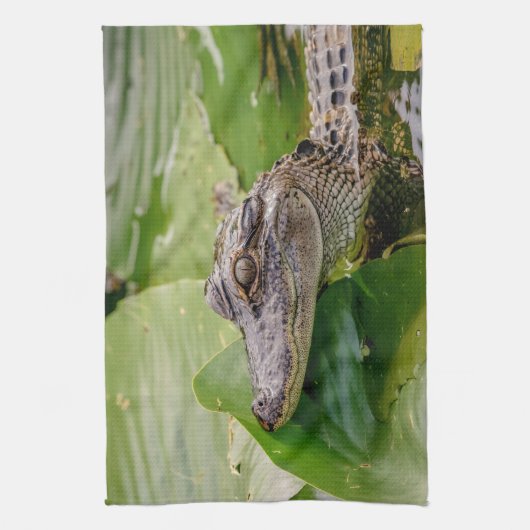 Linge De Cuisine Jeune Alligator (Vertical)