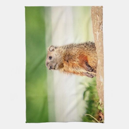 Linge De Cuisine Jeune marmotte (Vertical)