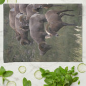 Linge De Cuisine Jeunes mouflons d'Amérique (Plié)