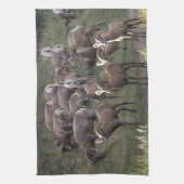 Linge De Cuisine Jeunes mouflons d'Amérique (Vertical)