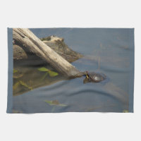 Jour de congé de la tortue