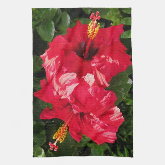 Linge De Cuisine Ketmie hawaïenne (Vertical)