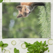 Linge De Cuisine Kit de Fox rouge (Plié)