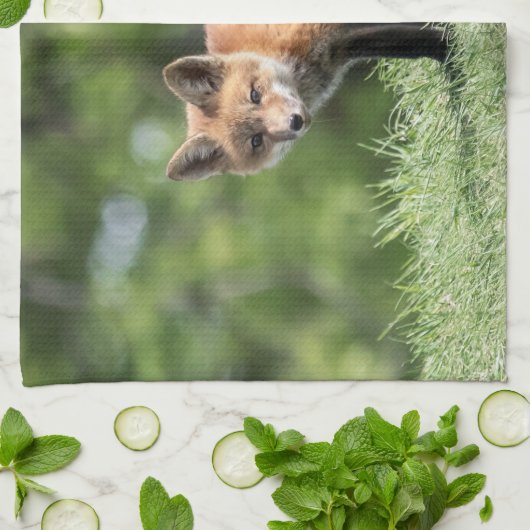 Linge De Cuisine Kit de Fox rouge (Plié)