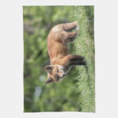 Linge De Cuisine Kit de Fox rouge (Vertical)