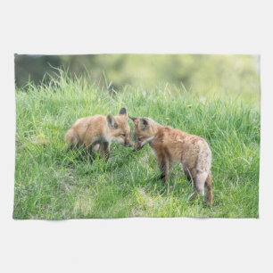 Linge De Cuisine Kits de Fox rouge