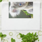 Linge De Cuisine Koala Bears (Plié)