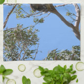 Linge De Cuisine Koala Nap (Plié)