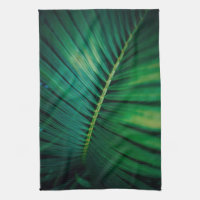 La Feuille verte Forêt tropicale Nature Photo