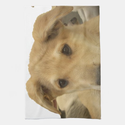 Linge De Cuisine "La vie est l'école la plus difficile" (Vertical)