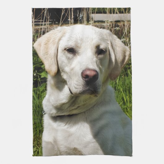 LINGE DE CUISINE LABRADOR DOG (Vertical)