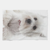 Linge De Cuisine L'adorable Terrier de White West Highland (Horizontal)