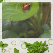 Linge De Cuisine Ladybug sur les fleurs de violet doux (Plié)