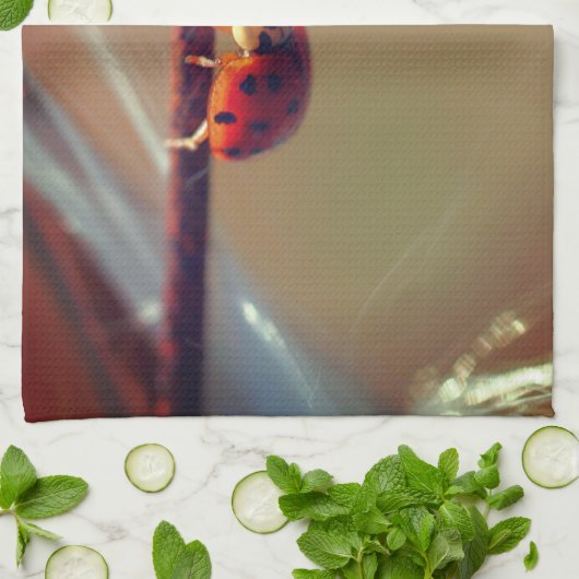 Linge De Cuisine Ladybugs Équilibrer gros  (Plié)