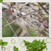 Linge De Cuisine Laiterie bohème, reposant sur une branche (Plié)