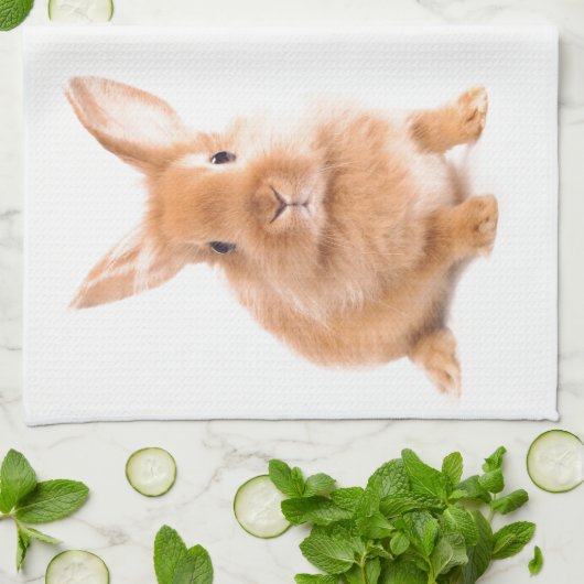 Linge De Cuisine Lapin (Plié)