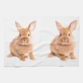 Linge De Cuisine Lapin (Horizontal)
