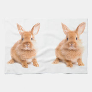 Linge De Cuisine Lapin
