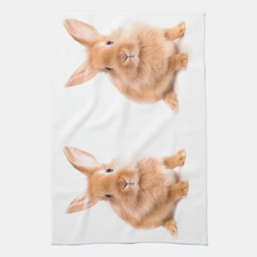 Linge De Cuisine Lapin (Vertical)